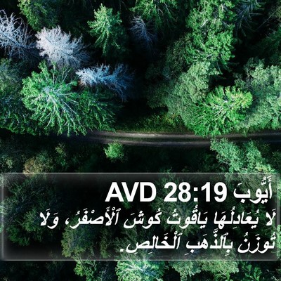 أَيُّوبَ 28:19 AVD Bible Verse Image