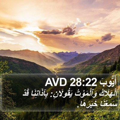 أَيُّوبَ 28:22 AVD Bible Verse Image