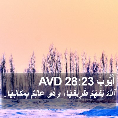 أَيُّوبَ 28:23 AVD Bible Verse Image