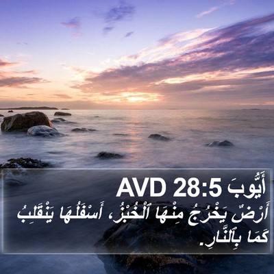 أَيُّوبَ 28:5 AVD Bible Verse Image