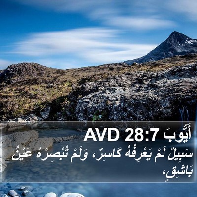 أَيُّوبَ 28:7 AVD Bible Verse Image