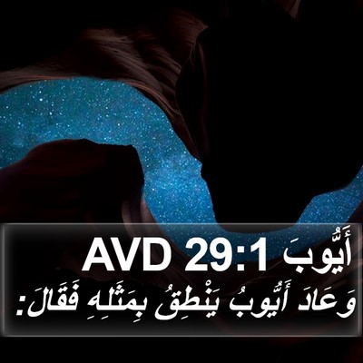 أَيُّوبَ 29:1 AVD Bible Verse Image