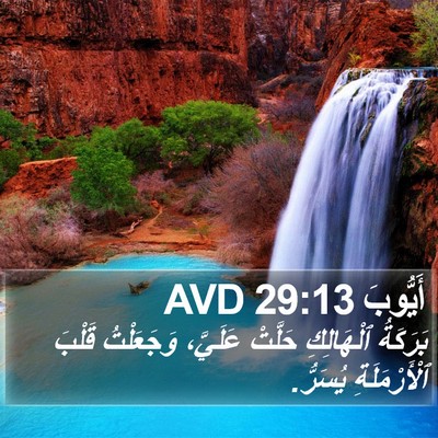 أَيُّوبَ 29:13 AVD Bible Verse Image