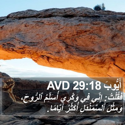 أَيُّوبَ 29:18 AVD Bible Verse Image