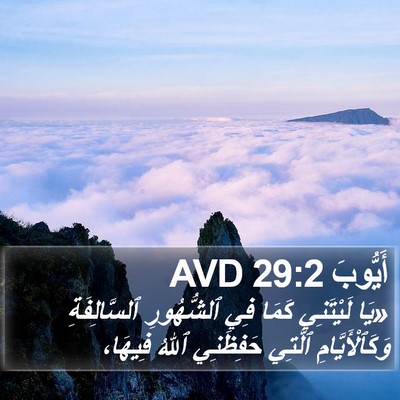 أَيُّوبَ 29:2 AVD Bible Verse Image