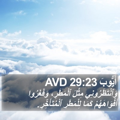 أَيُّوبَ 29:23 AVD Bible Verse Image