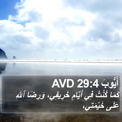 أَيُّوبَ 29:4 AVD Bible Verse Image