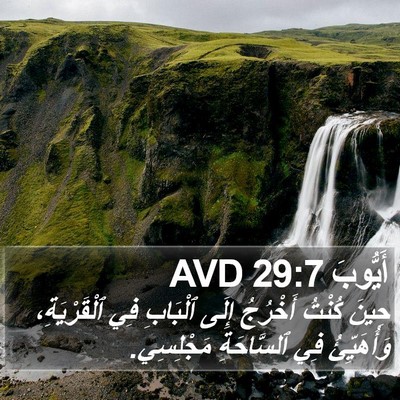 أَيُّوبَ 29:7 AVD Bible Verse Image