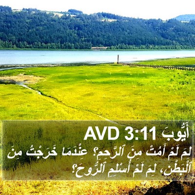 أَيُّوبَ 3:11 AVD Bible Verse Image