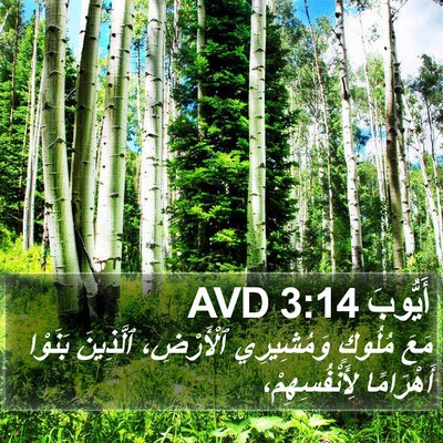 أَيُّوبَ 3:14 AVD Bible Verse Image
