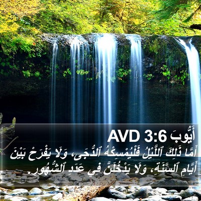 أَيُّوبَ 3:6 AVD Bible Verse Image