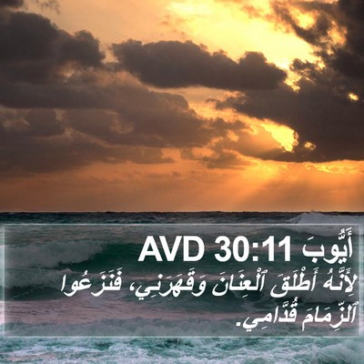 أَيُّوبَ 30:11 AVD Bible Verse Image