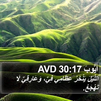 أَيُّوبَ 30:17 AVD Bible Verse Image
