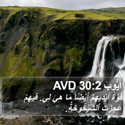 أَيُّوبَ 30:2 AVD Bible Verse Image