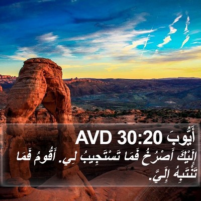أَيُّوبَ 30:20 AVD Bible Verse Image
