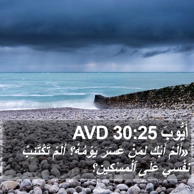 أَيُّوبَ 30:25 AVD Bible Verse Image