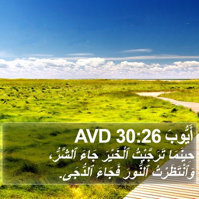 أَيُّوبَ 30:26 AVD Bible Verse Image