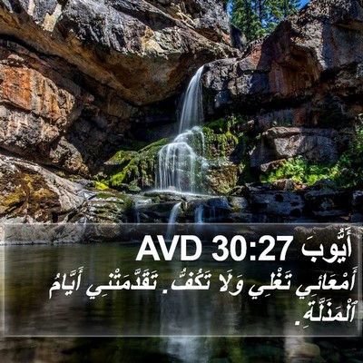 أَيُّوبَ 30:27 AVD Bible Verse Image