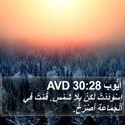 أَيُّوبَ 30:28 AVD Bible Verse Image