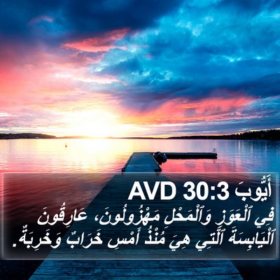 أَيُّوبَ 30:3 AVD Bible Verse Image