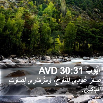أَيُّوبَ 30:31 AVD Bible Verse Image
