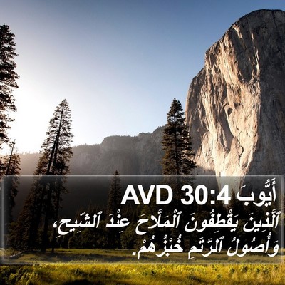 أَيُّوبَ 30:4 AVD Bible Verse Image