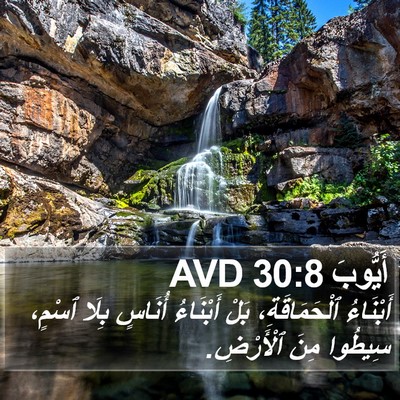 أَيُّوبَ 30:8 AVD Bible Verse Image