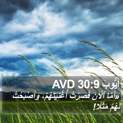 أَيُّوبَ 30:9 AVD Bible Verse Image