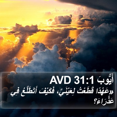 أَيُّوبَ 31:1 AVD Bible Verse Image