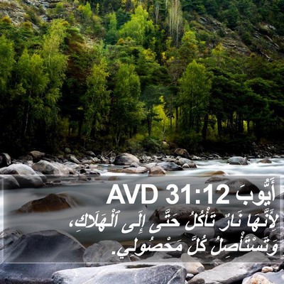 أَيُّوبَ 31:12 AVD Bible Verse Image