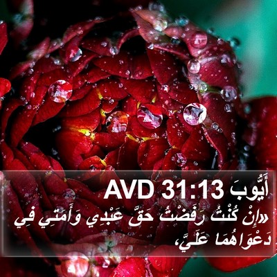 أَيُّوبَ 31:13 AVD Bible Verse Image