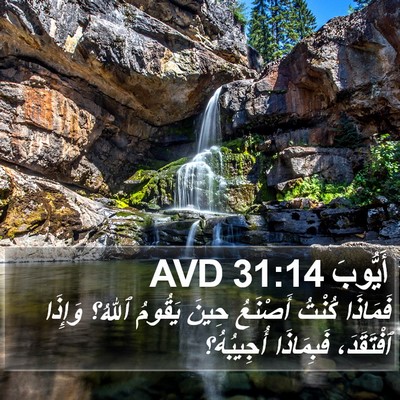 أَيُّوبَ 31:14 AVD Bible Verse Image