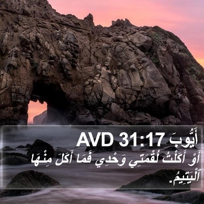 أَيُّوبَ 31:17 AVD Bible Verse Image