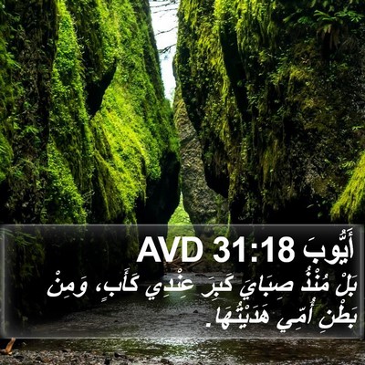 أَيُّوبَ 31:18 AVD Bible Verse Image