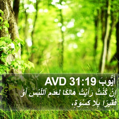 أَيُّوبَ 31:19 AVD Bible Verse Image