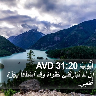أَيُّوبَ 31:20 AVD Bible Verse Image
