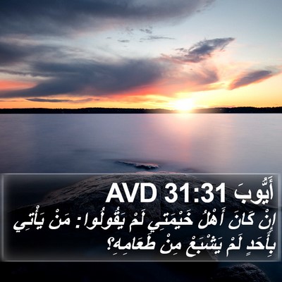 أَيُّوبَ 31:31 AVD Bible Verse Image