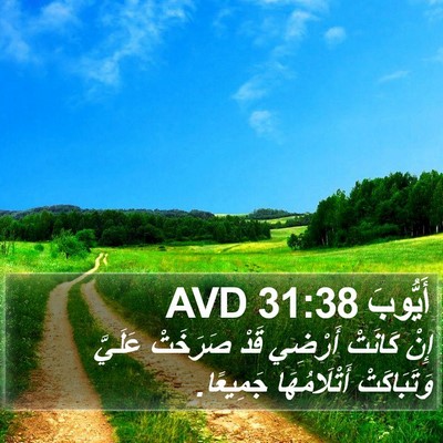 أَيُّوبَ 31:38 AVD Bible Verse Image