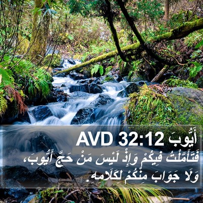 أَيُّوبَ 32:12 AVD Bible Verse Image