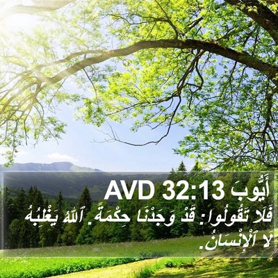 أَيُّوبَ 32:13 AVD Bible Verse Image