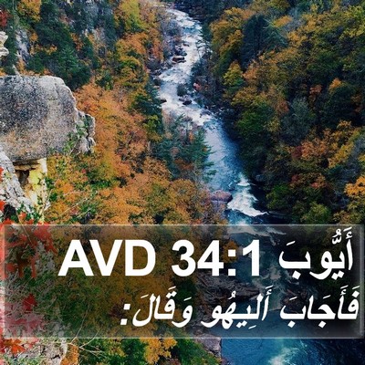 أَيُّوبَ 34:1 AVD Bible Verse Image