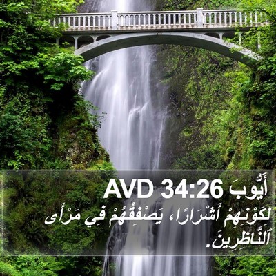 أَيُّوبَ 34:26 AVD Bible Verse Image
