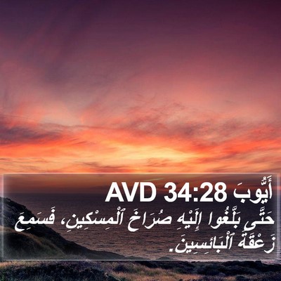 أَيُّوبَ 34:28 AVD Bible Verse Image