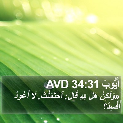 أَيُّوبَ 34:31 AVD Bible Verse Image