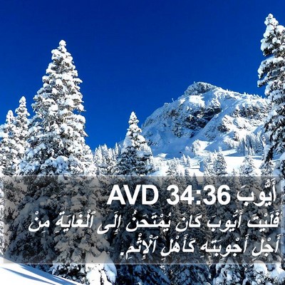 أَيُّوبَ 34:36 AVD Bible Verse Image