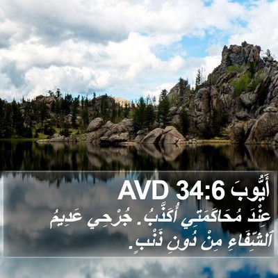أَيُّوبَ 34:6 AVD Bible Verse Image