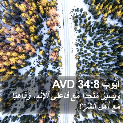أَيُّوبَ 34:8 AVD Bible Verse Image