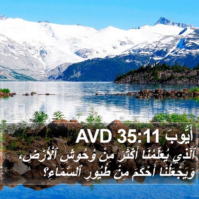 أَيُّوبَ 35:11 AVD Bible Verse Image