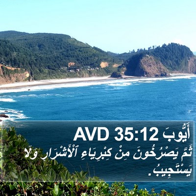 أَيُّوبَ 35:12 AVD Bible Verse Image