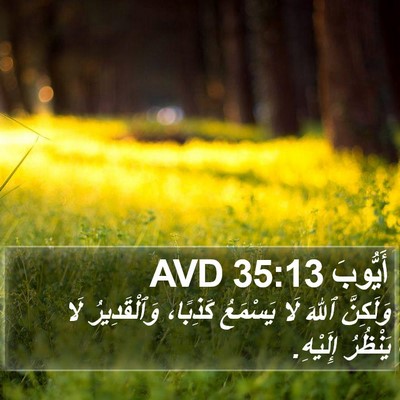 أَيُّوبَ 35:13 AVD Bible Verse Image